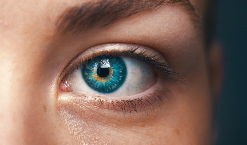 Does IQ Predict Success in Life?